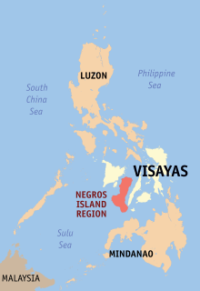 Negros island